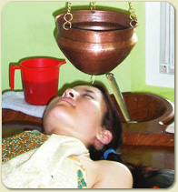 �V���_�[��